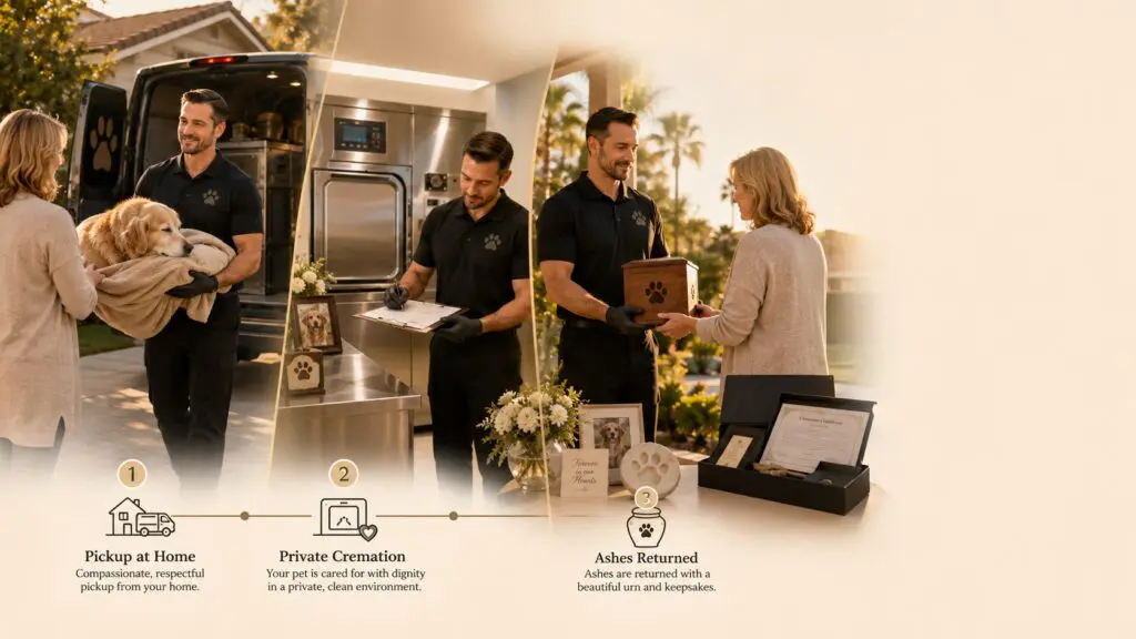 How Dog Cremation Works From Pickup to Ashes Being Returned